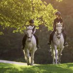Horse Riding – 10 Valuable Tips for Beginners